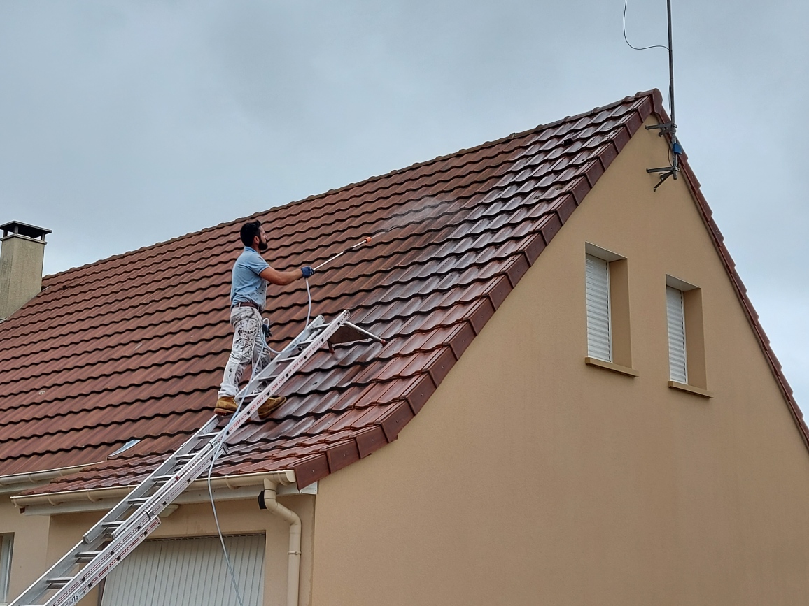 Demoussage toiture de pavillon